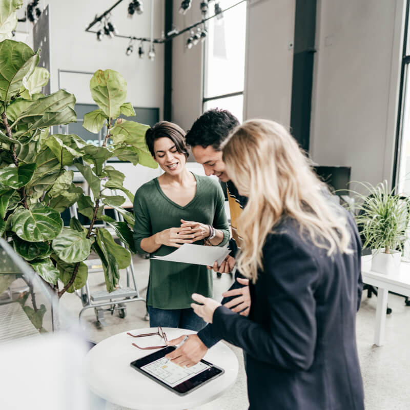Drei Mitarbeiter besprechen einen Plan in einem pflanzenreichen Büro