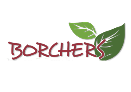 logo_borchers_
